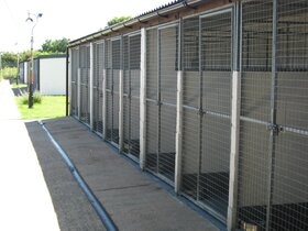 Our Kennels Our Kennels