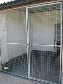One of the individual kennel runs One of the individual kennel runs