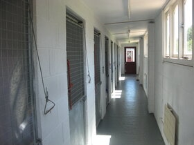 Inside one of the kennel blocks Inside one of the kennel blocks